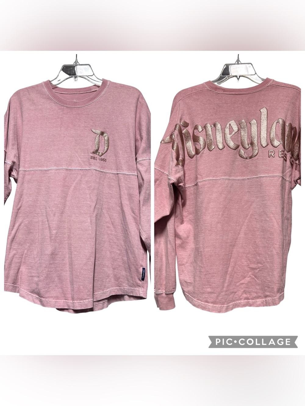 Disneyland Resort Spirit Jersey